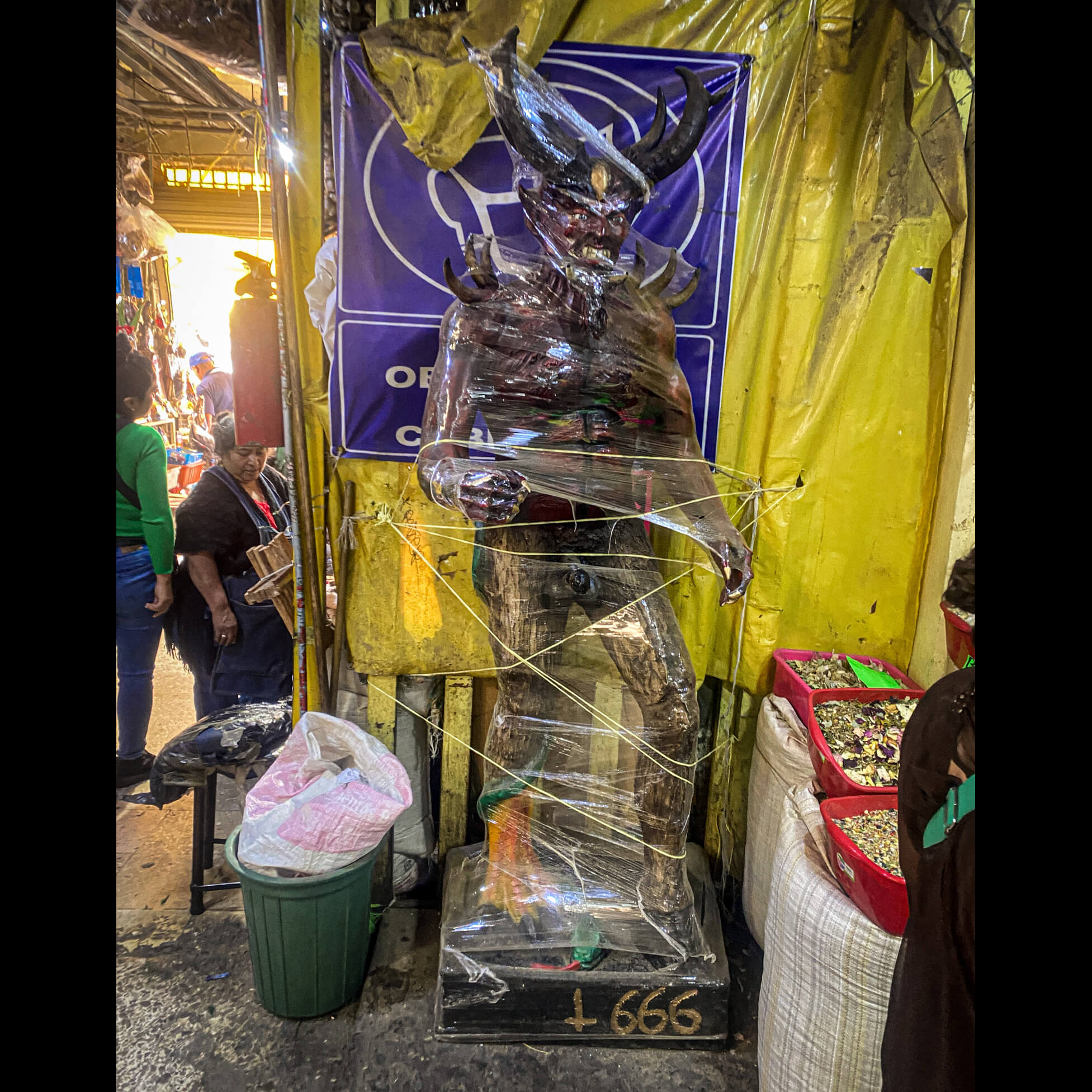  sacredtravel North_America Mexico Mexico_City Mercado Sonora