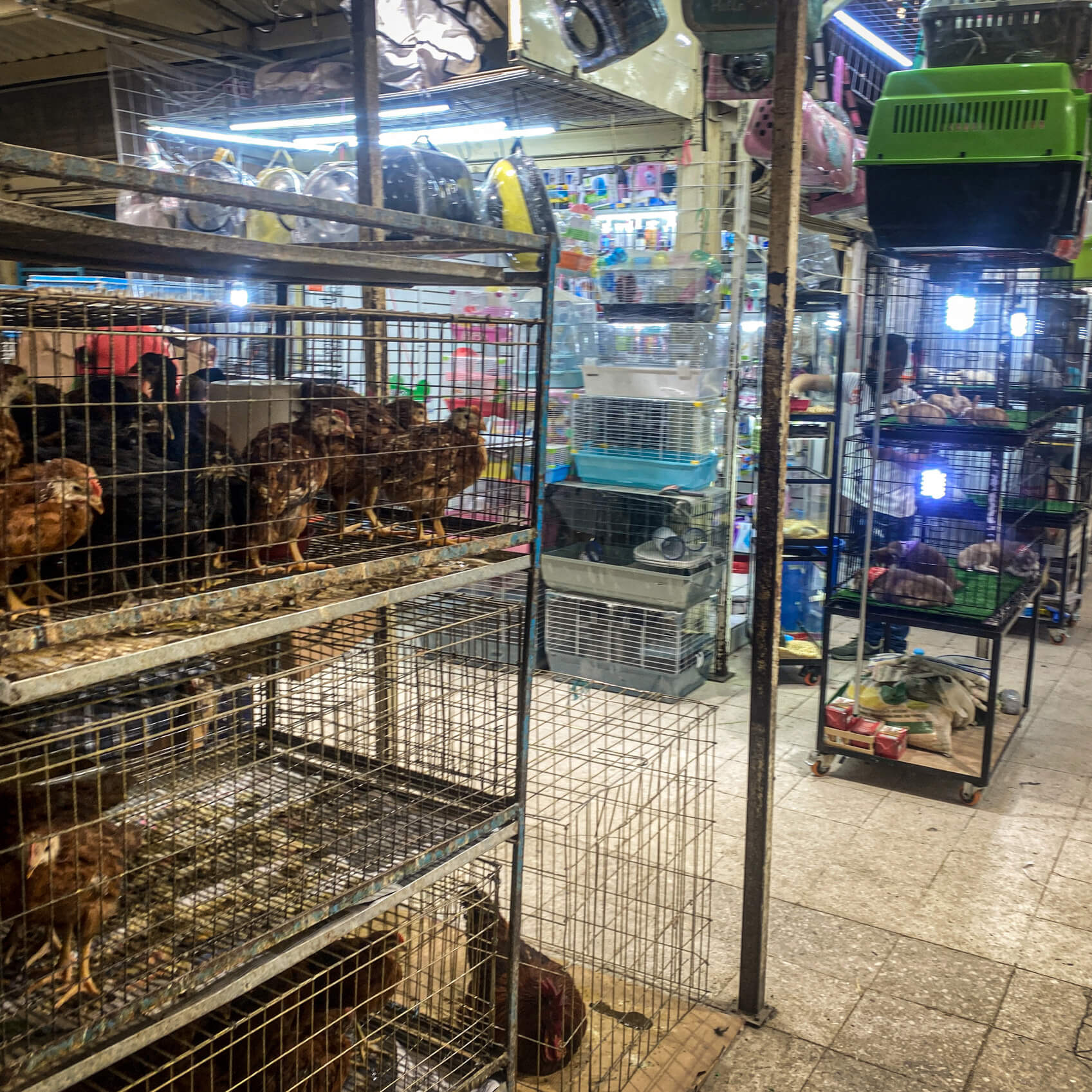  sacredtravel North_America Mexico Mexico_City Mercado Sonora