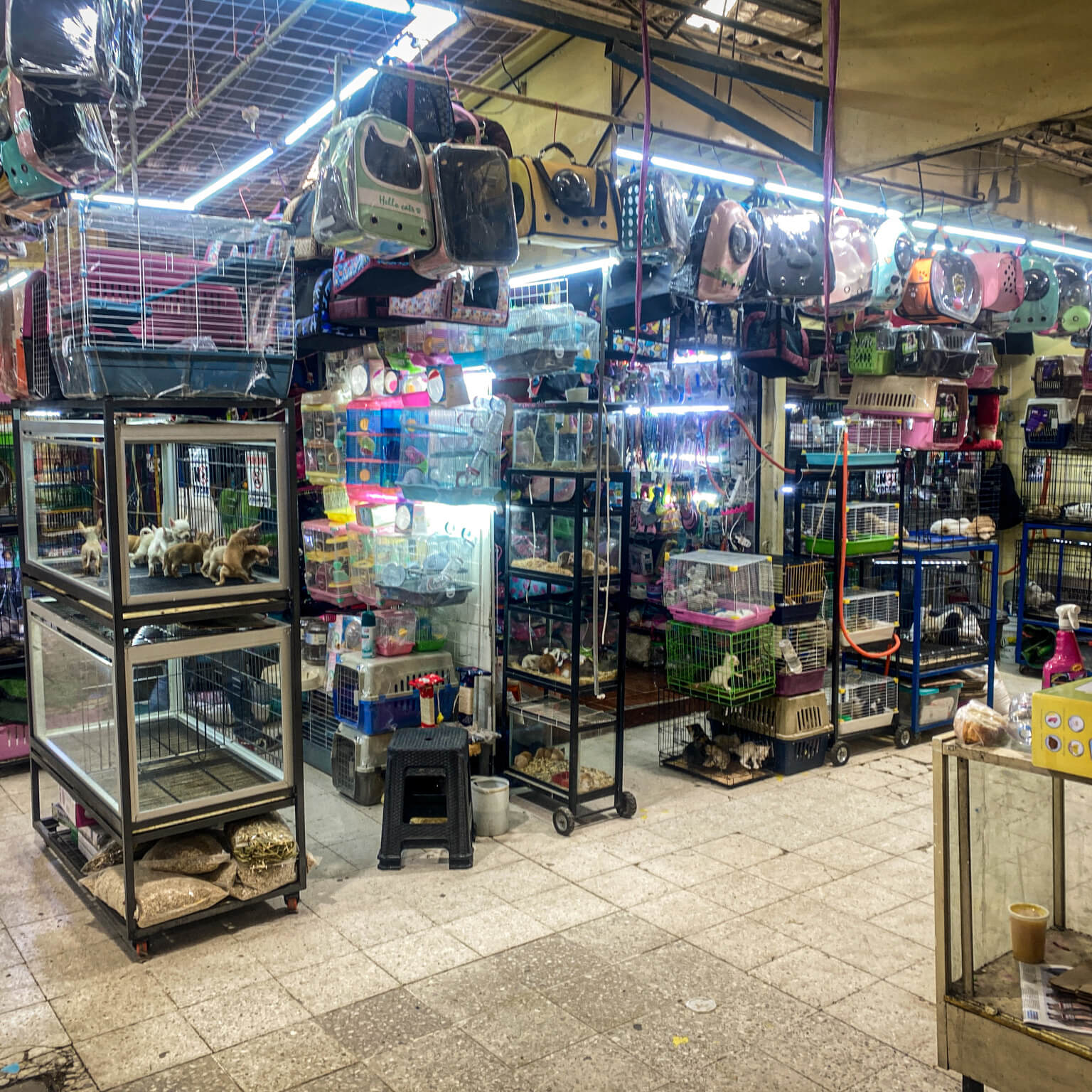  sacredtravel North_America Mexico Mexico_City Mercado Sonora